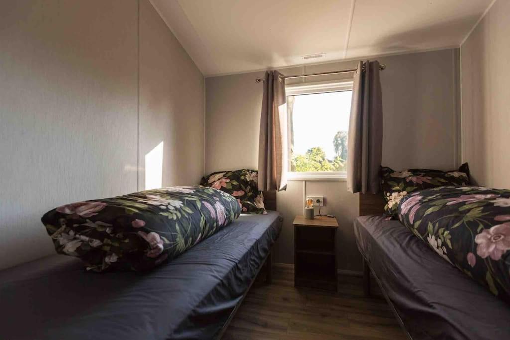 6-Persoons Chalet In Voorthuizen Op De Veluwe Villa Ngoại thất bức ảnh